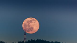 いろんな気分転換をすること。